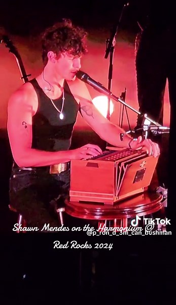 #shawnmendes #redrocks #harmonium #livemusic #instruments #diwali
