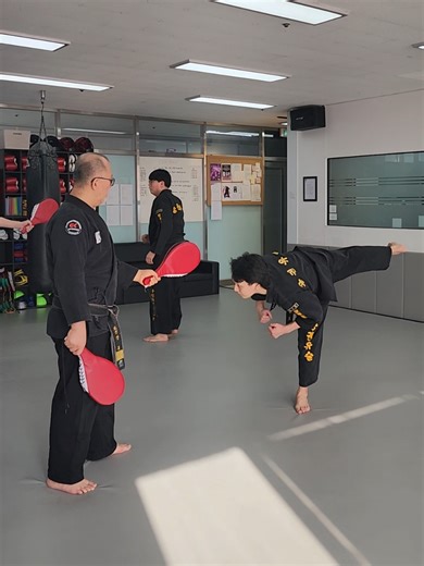 Training Core for Back Spin Kick Balance