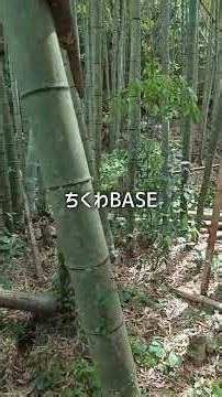 【ちくわBASE】大分大学山浦ゼミ活動 キャンプ運営 大分県宇佐市安心院町龍王地区
