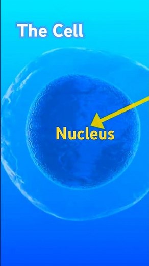 🔬What is a Cell? How many cells are in the human body? What is inside a Cell? #cell #thecell #bio