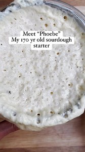 1. Leavening: An active, vigorous starter ensures a strong and consistent rise, leading to a well-aerated, light loaf with good volume. 2. Flavor Development: The complex flavors of sourdough bread come largely from the fermentation process driven by your starter. 3. Texture and Crumb Structure: A lively starter leads to a better rise and a more open, airy crumb. If your starter is weak or sluggish, the bread might turn out dense with fewer air pockets. 4. Dough Strength & Handling: A robust sta