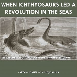 When Ichthyosaurs Led a Revolution in the Seas | Eons • PBS