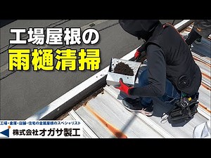 【雨樋】工場屋根の樋清掃！雨樋にゴミが詰まると雨漏りや外壁等が劣化する原因になります。