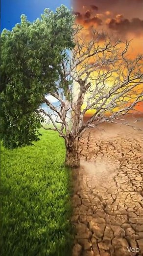 Nature vs Climate Change | Green Earth Turning Into Desert