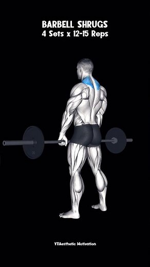 Muscle-Building Shoulder Workout Plan #workout #shoulderworkout