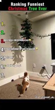 Ranking Funniest Christmas Tree Ever #christmas