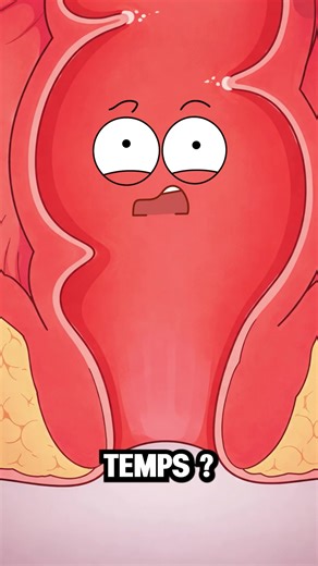 Comprendre les hémorroïdes et leurs effets