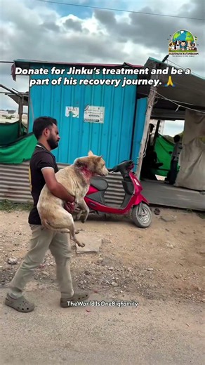 We finally caught him after an hour of trying #rescue #dog #streetanimals
