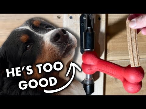 What IS this tool? I Discovered A New Use. ep280