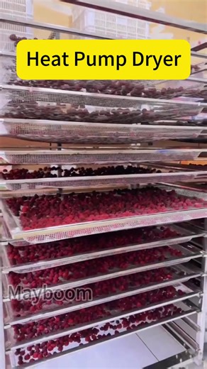 #heatpumpdryer #tomatodryer #mangodryer #dryingmachine #dryingroom