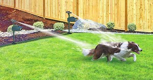 This Motion Activated Sprinkler Repeller Keeps Animals Out Of Your Garden