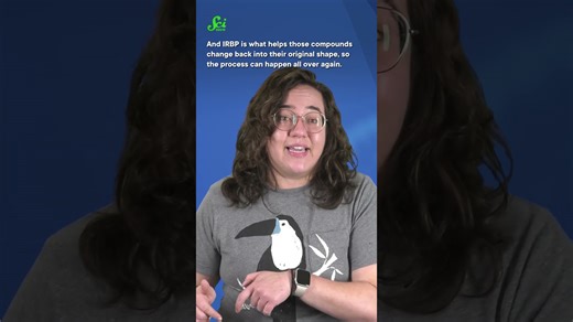 Bacteria gave us our eyes. #shorts #science #stem #scishow