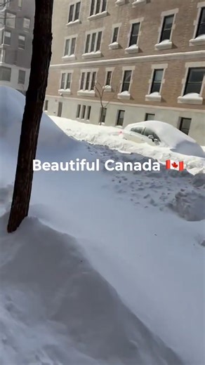 A beautiful snowfall in Canada 🇨🇦 join Beautiful canada | Beautiful canada