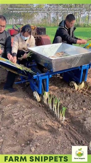 Two-Row Scallion Seedling Transplanter 🚜 No-Power Required Farming Machine #shorts