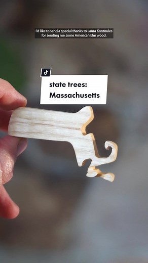State Trees: Massachusetts