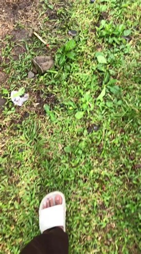 Explore Sonic the Hedgehog Stylistas and Trends