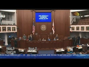 Florida Lawmakers Scramble, Pass New Gun Legislation