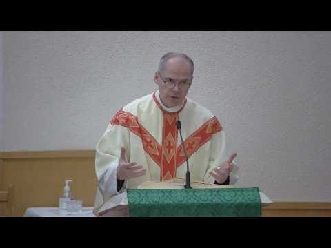 Fr. Steven: "Justifing our negligences" Tuesday February 10, 2026