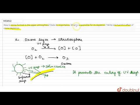 How is ozone formed in the upper atmosphere? State its importance. What is responsible for it