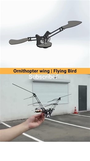 Building a Realistic Flying Bird Robot | Ornithopter Wing Mechanism 2025🤔