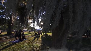 Are you ready to experience the biggest Halloween party of the year in New Orleans? Voodoo is less than two weeks away! | Voodoo Music Arts Experience