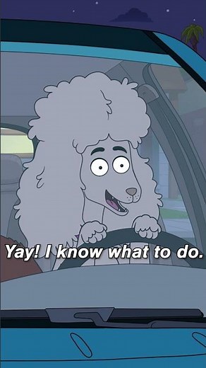 mans best friend… and chauffeur? #housebroken