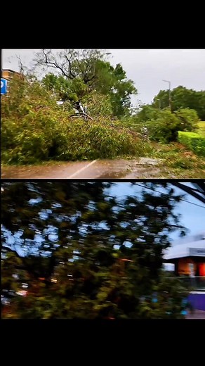 254 reactions · 55 shares | DARWIN IS STRONG! 23 NOV 25 Darwin @ 7am this morning. Jo OLora Giselle Echavez Galbraith Michael Sullesta | Ernesto Daniel | Facebook