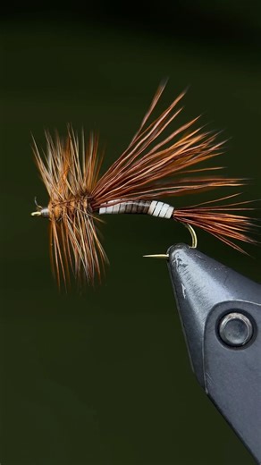 Peccary stimulator #flytying #flyfishing