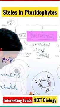 Protostele, Siphonostele, Dictyostele, NEET Biology Interesting Facts, Biology Unknown Facts