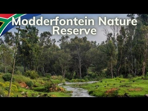 🇿🇦Modderfontein Nature Reserve Exploration✔️