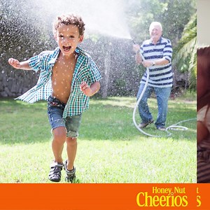 919 reactions · 66 comments | Fuel your life's special moments with heart healthy Honey Nut Cheerios. | Cheerios | Facebook