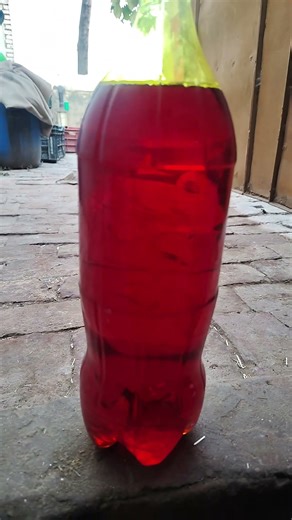 JADAM SULPHUR ADVANCE colour #farming #jadamsulphur