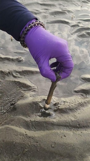 Recommended Taean Tidal Flat Experience Pension: Jinsan-ri Fishing Village Community Tidal Flat E...