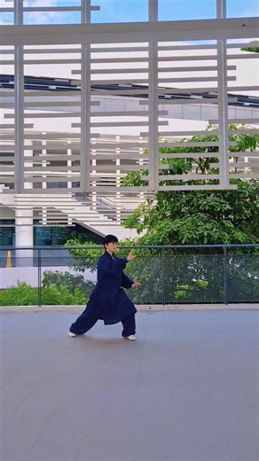 ✨ Tai Chi Tranquility: Meditate with Just Two Moves! ​Did you know you only need two steps to unlock the meditative power of Tai Chi? ​These are the most common movements in the traditional sequence, perfect for practicing alone in a quiet spot. They build balance, coordination, and centered focus using the stable Bow Stance (front knee bent, back leg stable). ​Brush Knee and Push: Sweeping away worries as you step and gently push forward. Great for coordination! ​Part the Wild Horse's Mane: Ope