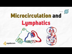 Microcirculation and Lymphatics | Introduction