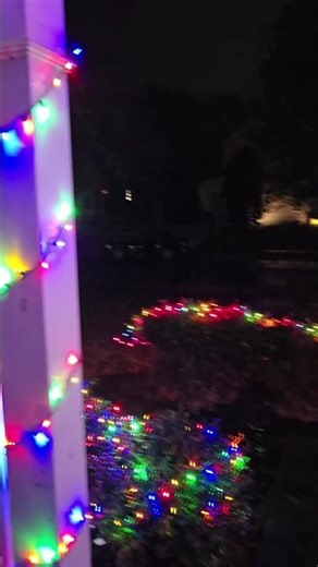 Be the Light💡 You can do it #believe #purpose bit.ly/SacredLotus2026-1