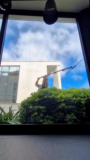 Window cleaning #windowcleaning #windowcleaner | Rui Eusébio