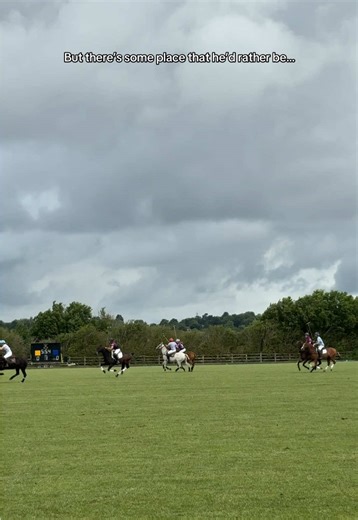 Summer Nationals Highlights at Durham University