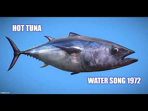 HOT TUNA * The Water Song 1972 HQ