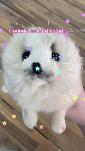 Cute Seal Plush Doll Name Ideas | Thrifted $3 Purchase | Tutorial & Unboxing
