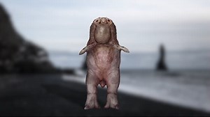 Earth evolution is boring – this alien planet makes more sense