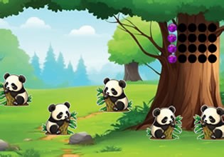 Cute Animal Escape - Escape Fan