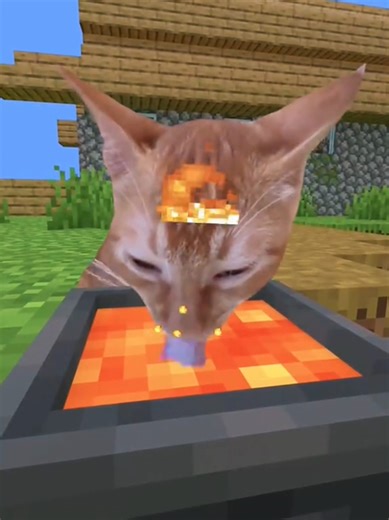 Minecraft Cats 😭 #cat #catlover #pets #kitten #fyp
