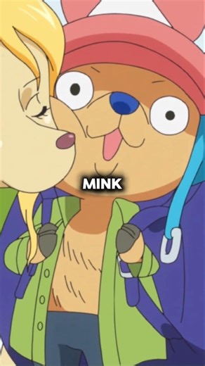 Morgans Is NOT a Mink?! One Piece Fans Got This Wrong 💀