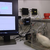 Low-Cost Nerve Stimulator Fabrication for Rod - JoVE Journal