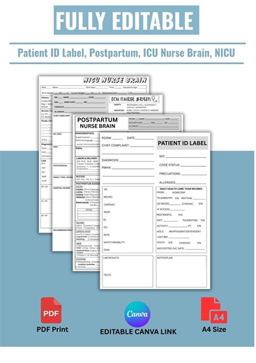 Editable Nurse Brain Sheets Bundle With ICU NICU Postpartum Patient ID Template - Etsy