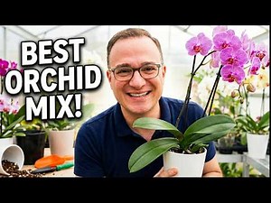 This Bark Mix Makes Orchid Repotting Easy
