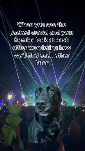 Crowd Compass on Instagram: "The exact face that my friends stopped making once they got their Crowd Compasses 🧭📍 #crowdcompass #musicfestival #discover #rave"