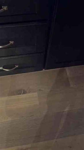 Amazon Office Essentials for Productivity!