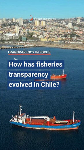 🎥 “In Chile, transparency isn’t just a principle — it’s policy.” Over the past two decades, Chile has transformed the way it manages its fisheries. What began as a push for accountability has become a national commitment to openness, collaboration and sustainability. 🎙️ Soledad Tapia, National Director of Servicio Nacional de Pesca y Acuicultura, shares how transparency has evolved into a State policy — and how technology and trust are now guiding the future of Chile’s fisheries. 🇨🇱 This vid